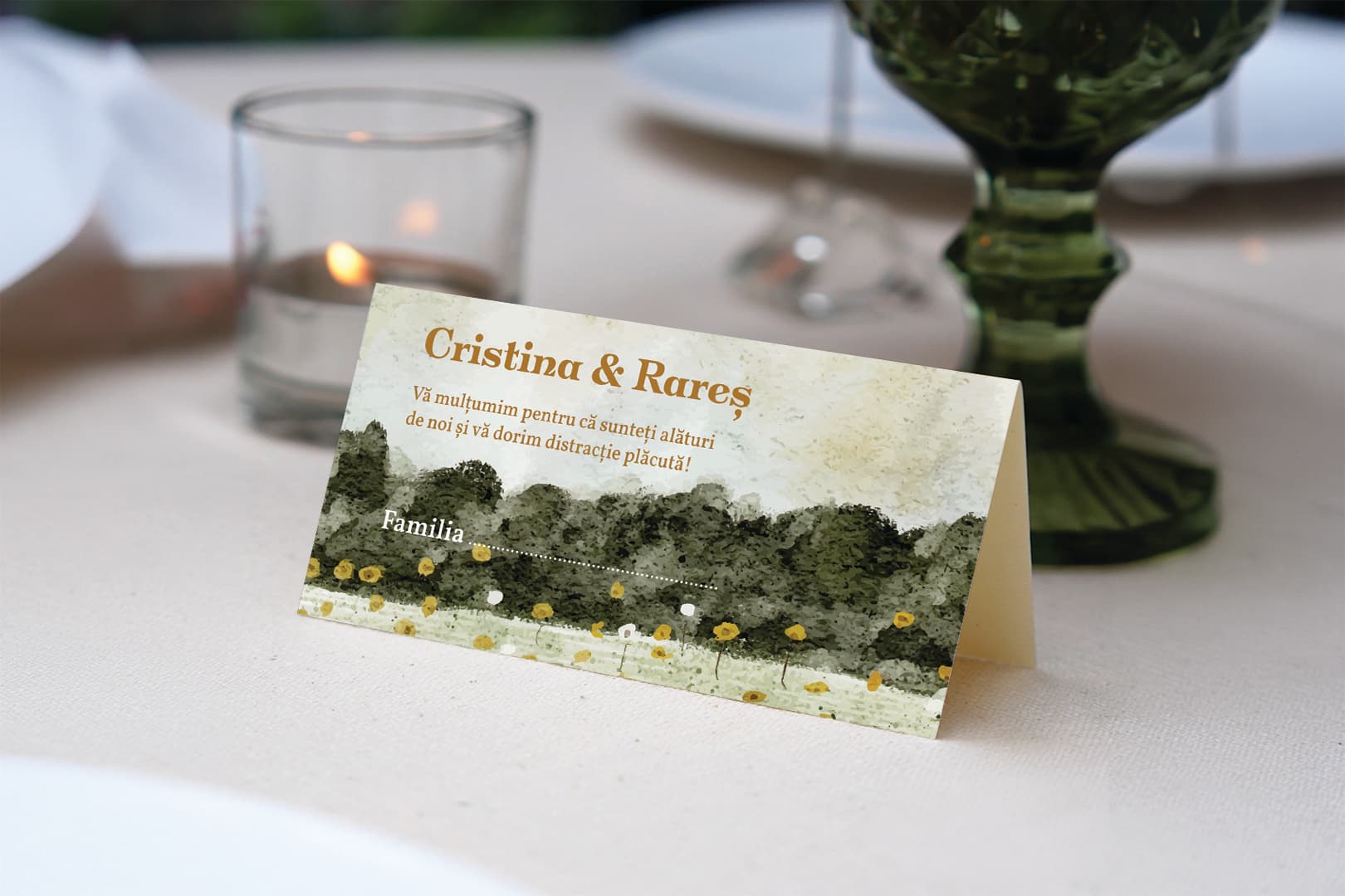 Amintiri de vara - preview 4