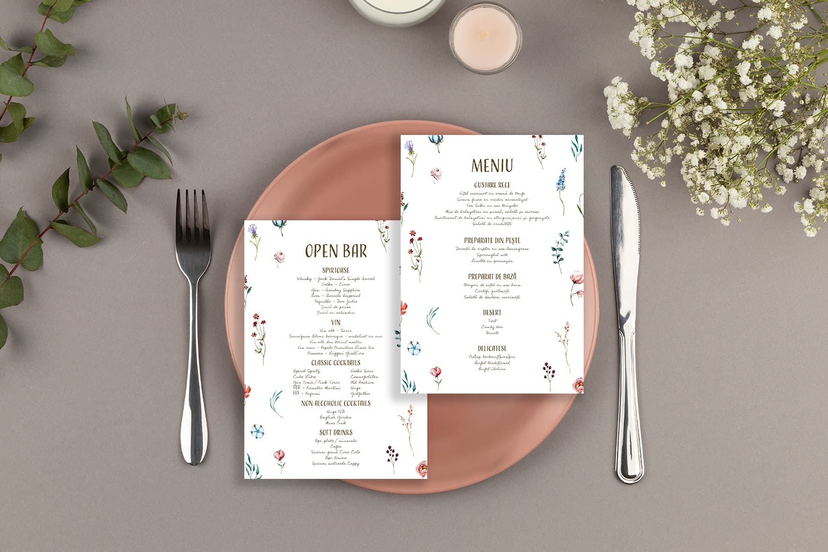 Apus elegant - preview 3