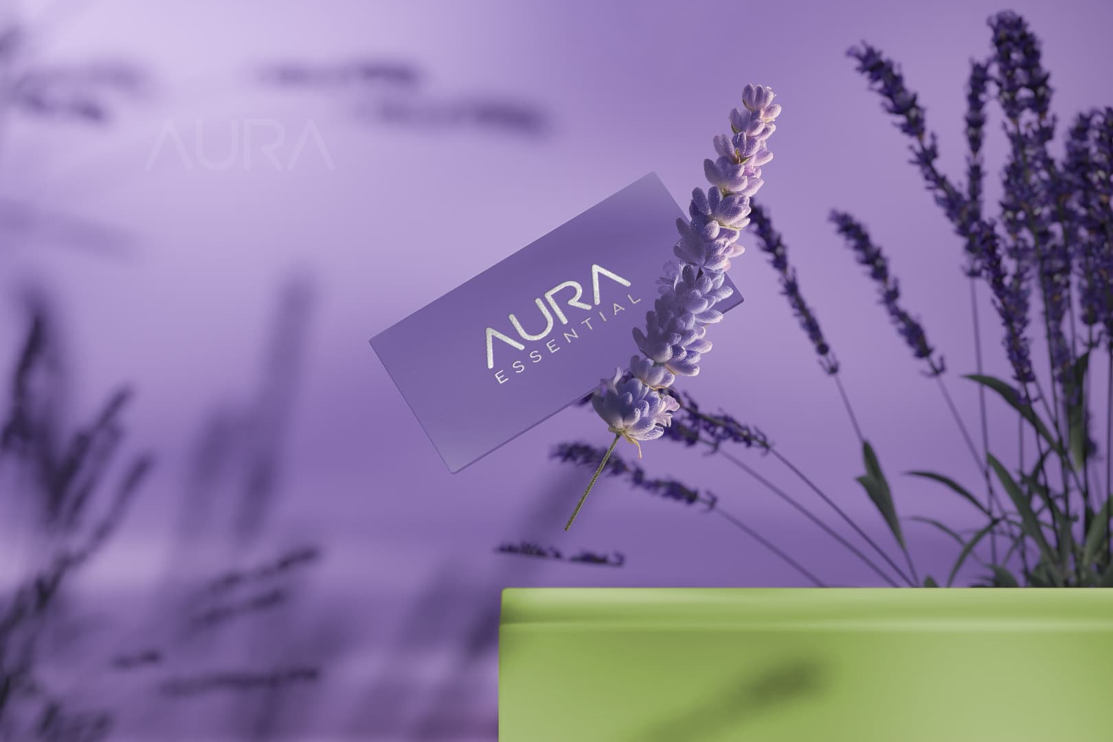 AURA visual 2
